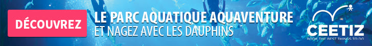 Ceetiz - Aquaventure et nage avec les Dauphins